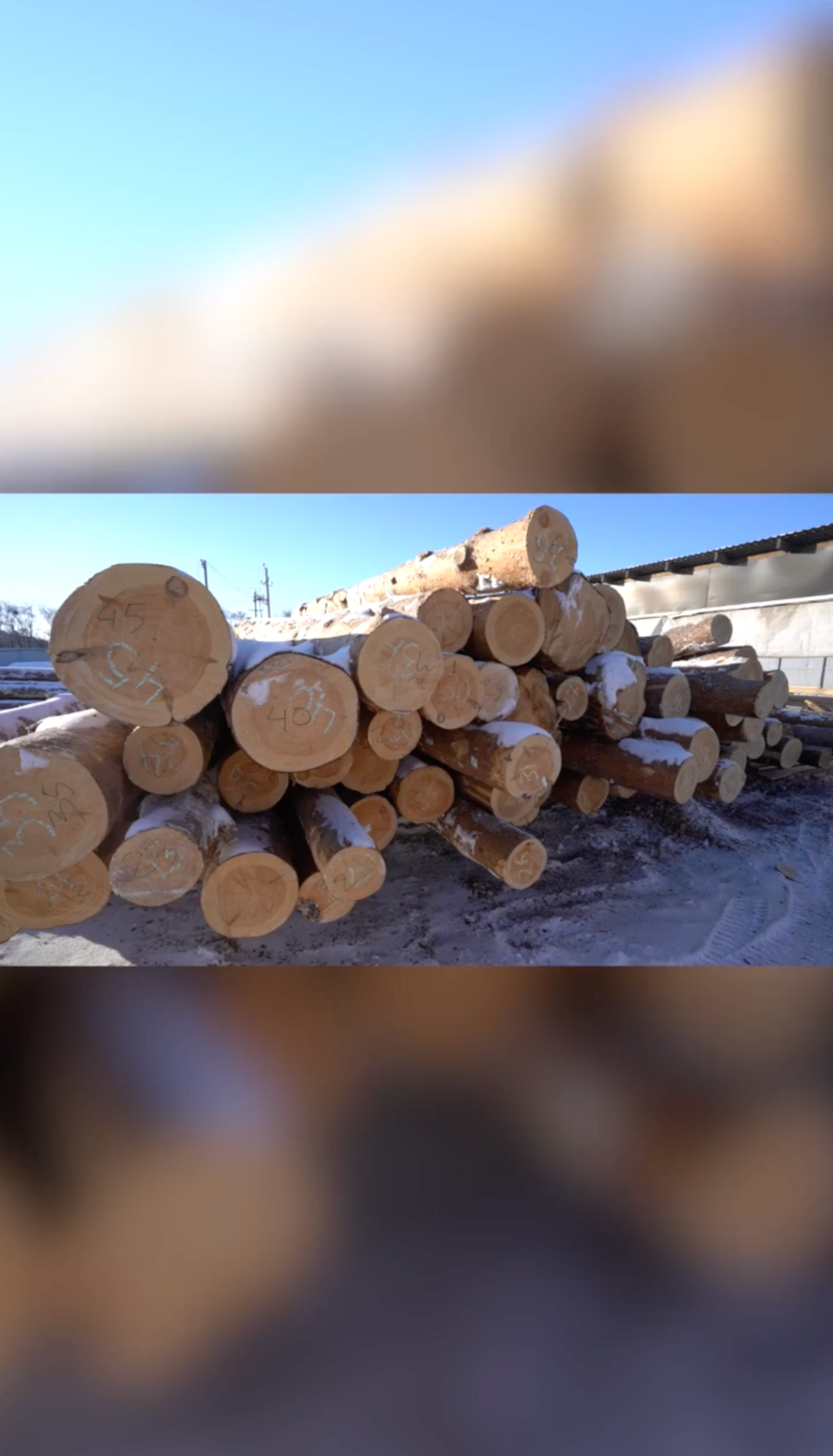 Прогноз цены на пиломатериалы