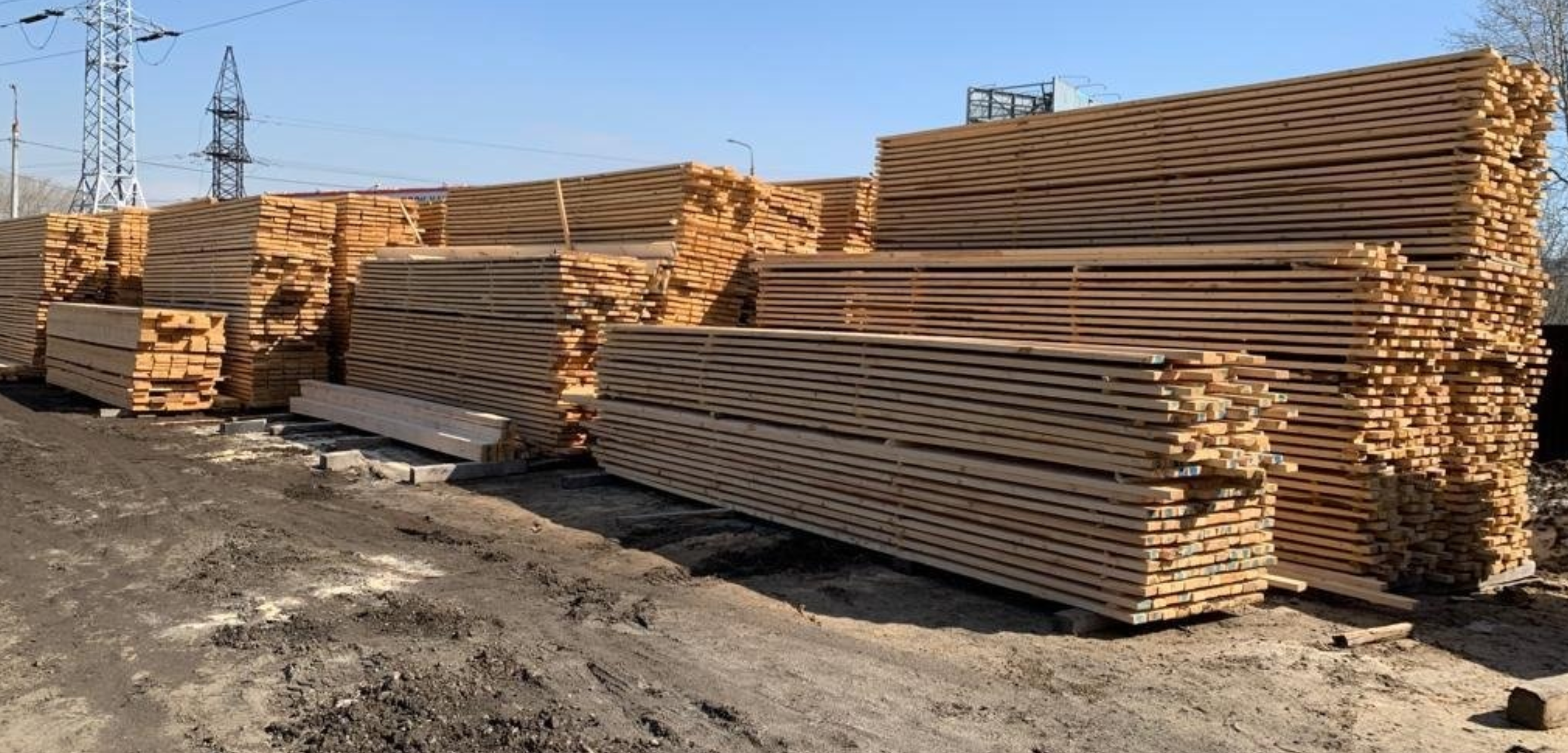 От бревна до готовой доски: репортаж с производства компании «Леском»