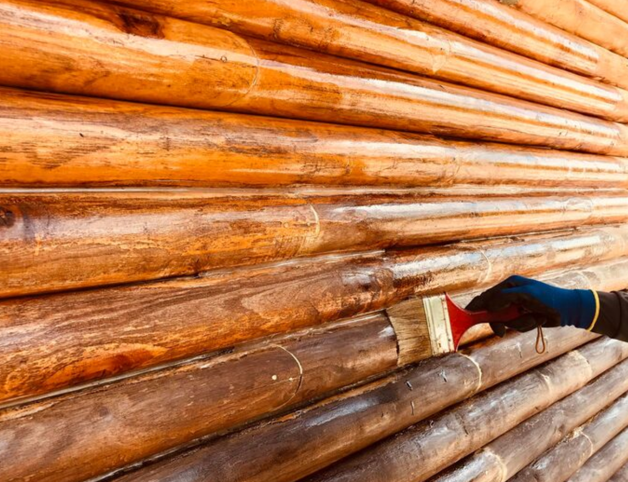 Масло, лак или краска для наружных работ: большой гид по защитным покрытиям для дерева.